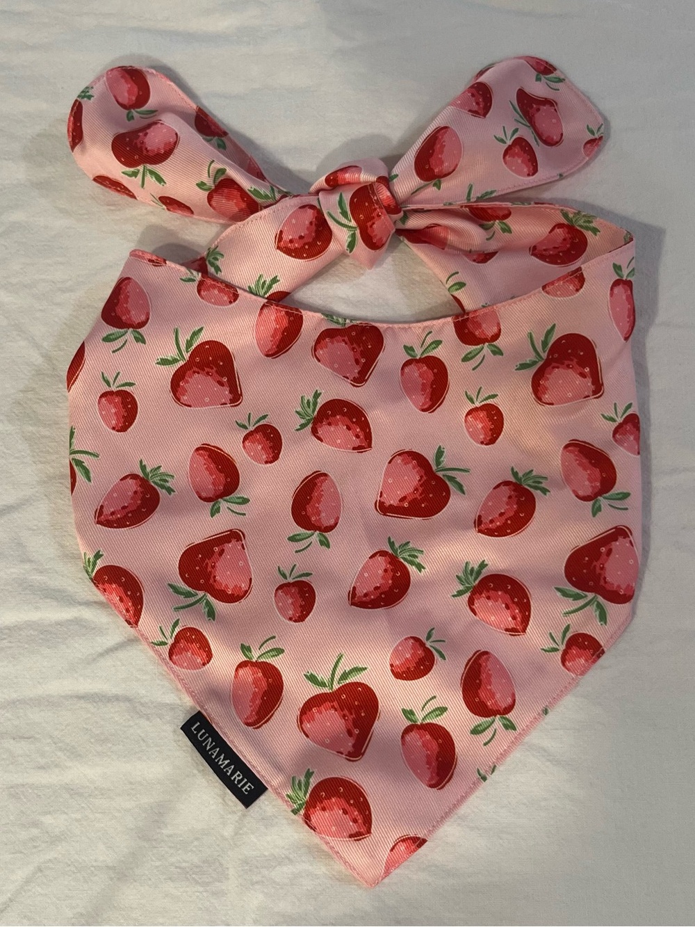 Strawberry Dog Bandana